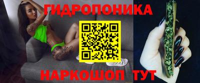 шишки Аша