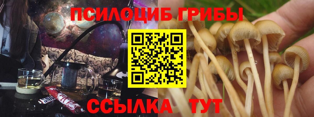 цена   Галлюциногенные грибы мухоморы  Вход с VPN  Мончегорск 